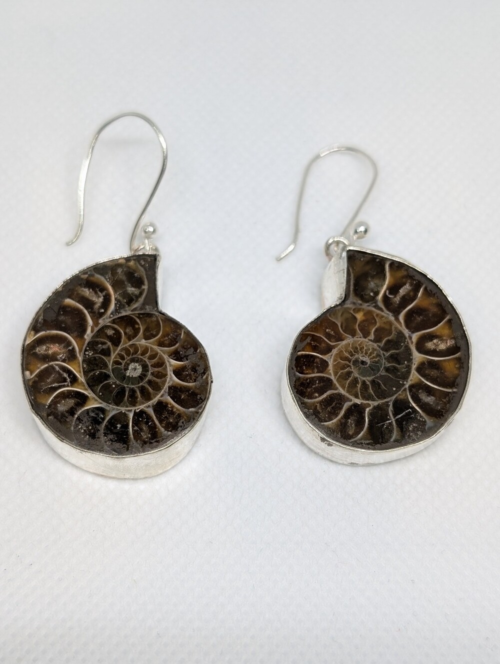 Ammonite Fossil Drop Earrings Sterling Silver